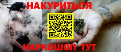 Альфа ПВП Малгобек