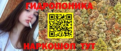 кокс Малоярославец