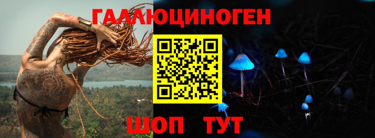 Галлюциногенные грибы мухоморы  купить наркотик  Вход с VPN  Грозный  Псилоцибиновые грибы ЛСД 