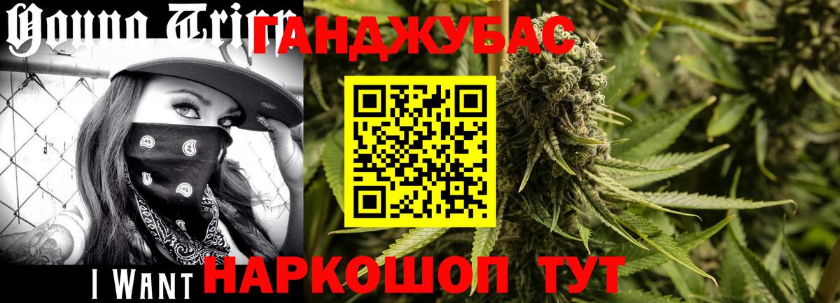 Канабис Bruce Banner Грозный